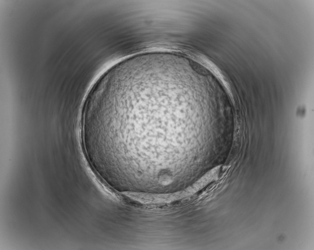 X0000099290811200805161323