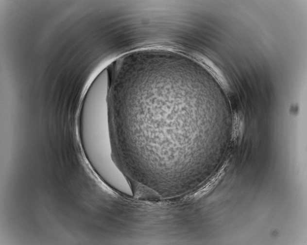 X0000099290812200805161323