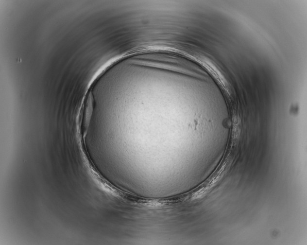 X0000099290814200805161323