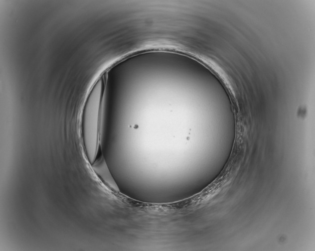 X0000099290815200805161323