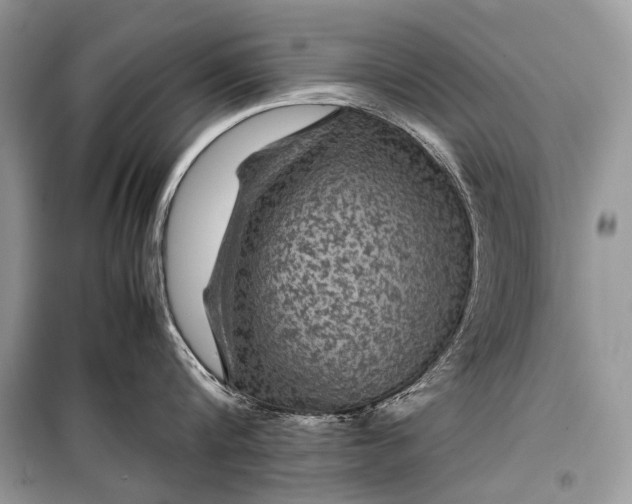 X0000099290816200805161323