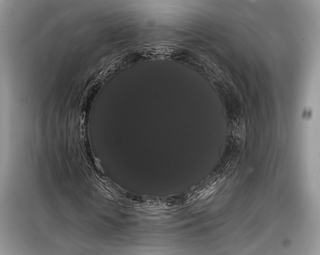 X0000099290818200805161323