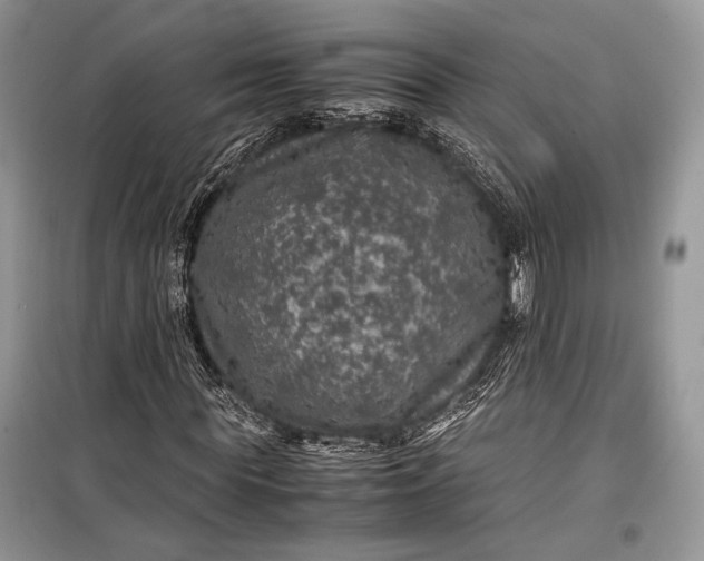 X0000099290819200805161323