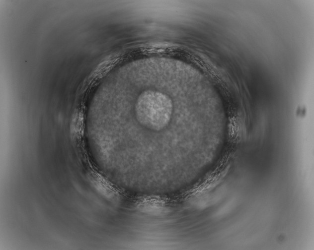 X0000099290820200805161323