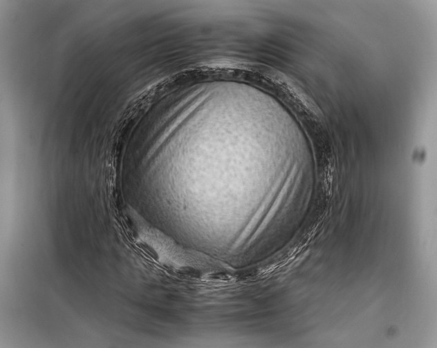 X0000099290821200805161323