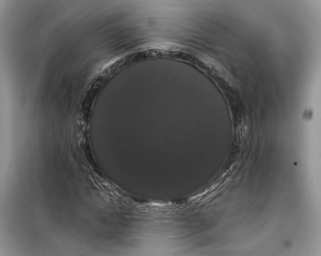 X0000099290822200805161323