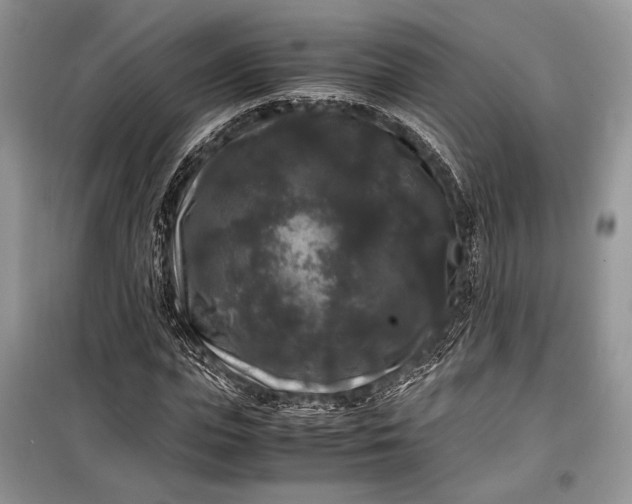 X0000099290823200805161323