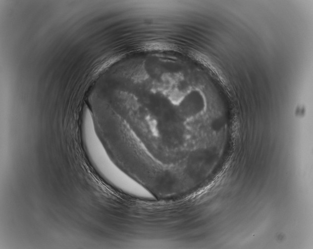 X0000099290825200805161323