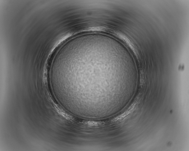 X0000099290827200805161323