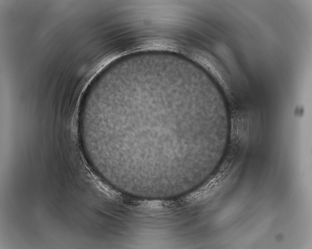 X0000099290828200805161323