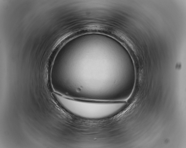 X0000099290829200805161323