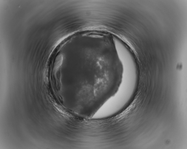 X0000099290830200805161323