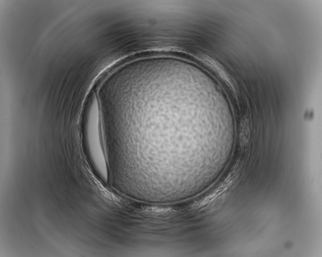 X0000099290831200805161323