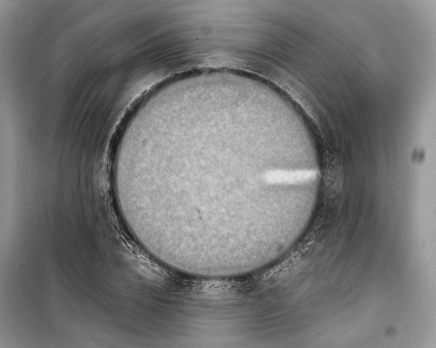 X0000099290832200805161323