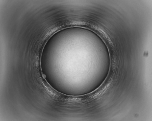 X0000099290833200805161323