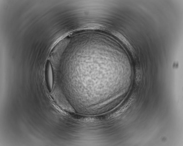 X0000099290834200805161323