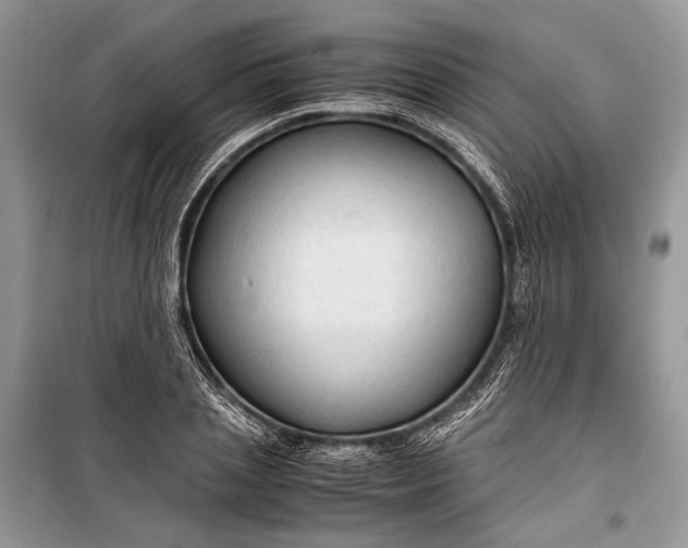 X0000099290837200805161323