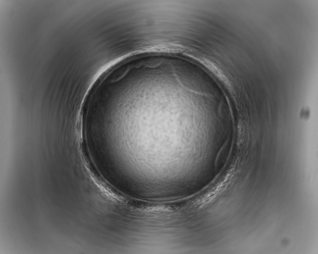 X0000099290838200805161323