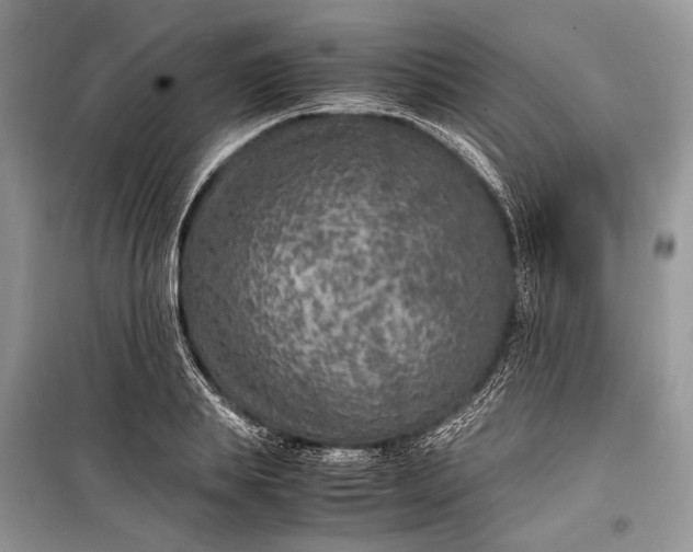 X0000099290839200805161323