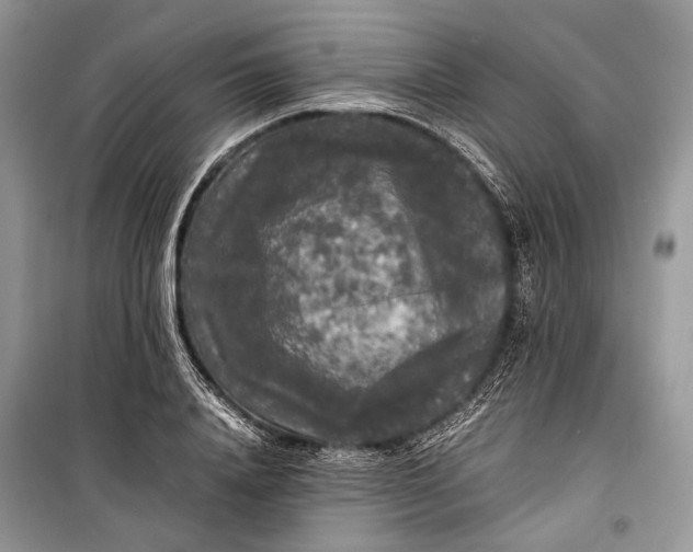 X0000099290840200805161323