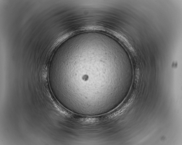 X0000099290841200805161323