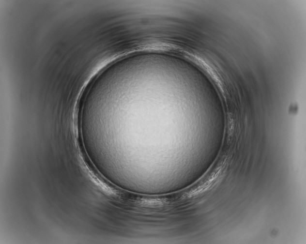 X0000099290843200805161323