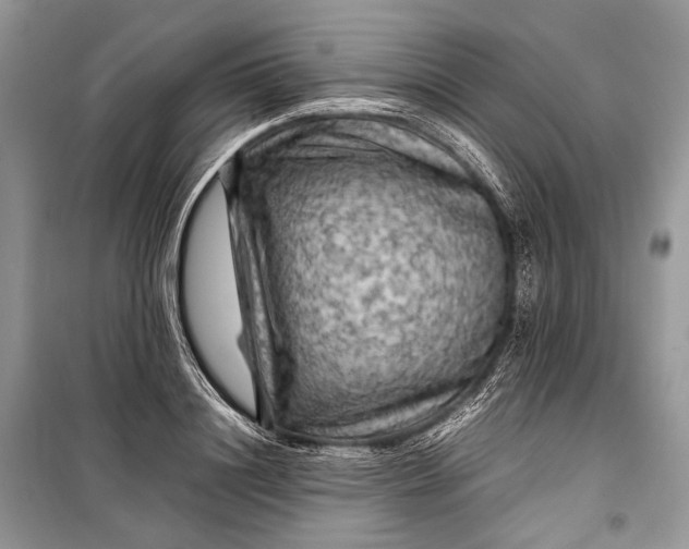 X0000099290844200805161323