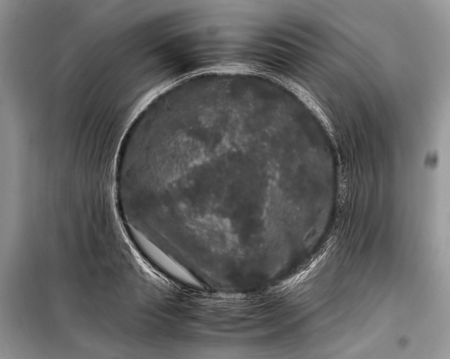 X0000099290845200805161323