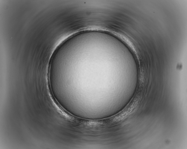 X0000099290847200805161323