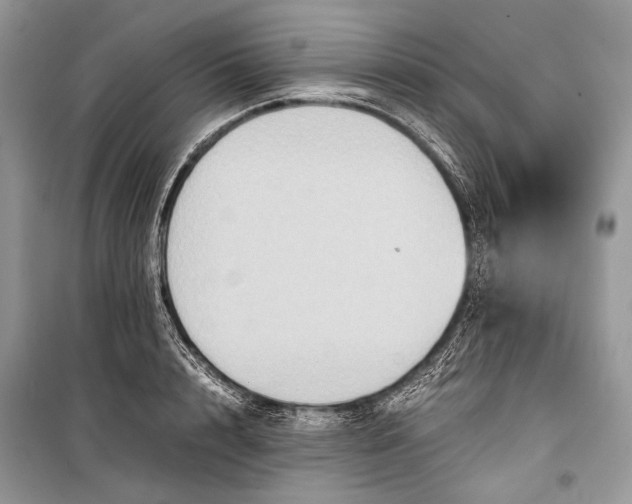 X0000099290848200805161323