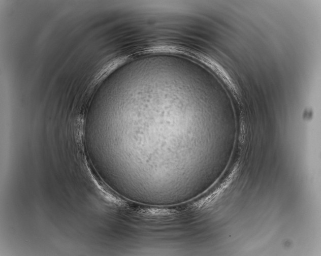 X0000099290849200805161323