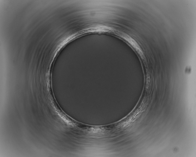 X0000099290850200805161323