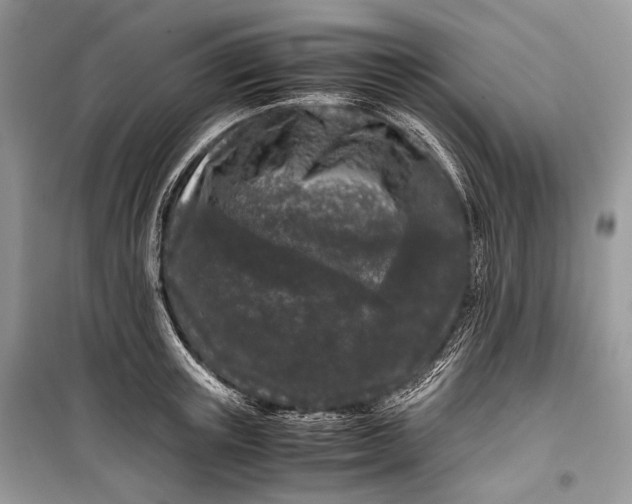 X0000099290851200805161323