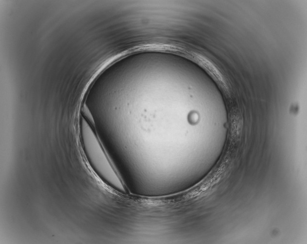 X0000099290852200805161323