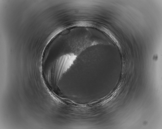 X0000099290853200805161323