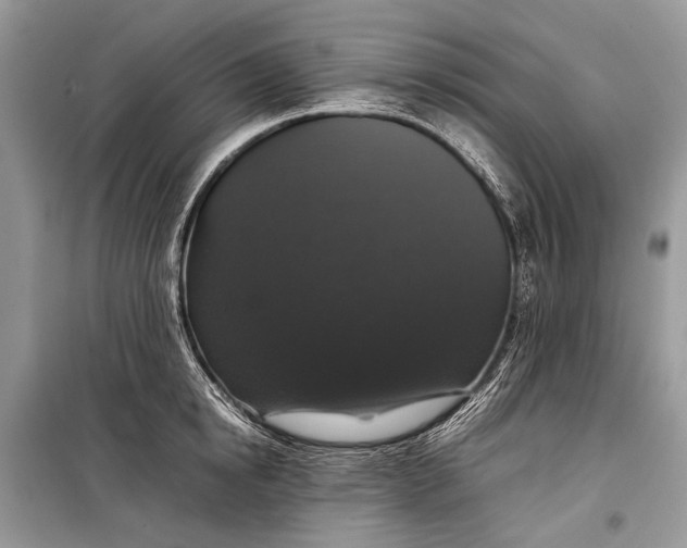 X0000099290854200805161323