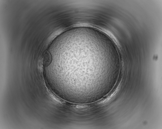 X0000099290857200805161323