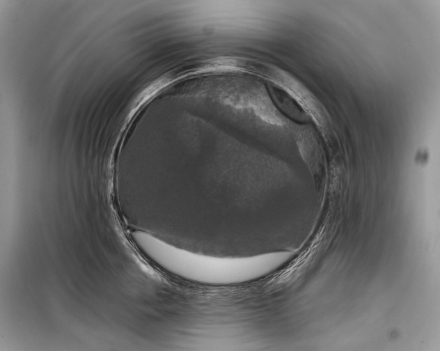 X0000099290858200805161323