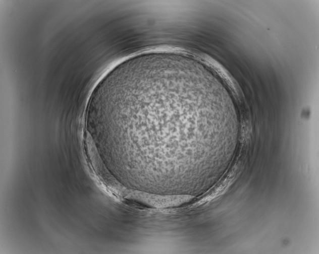 X0000099290860200805161323