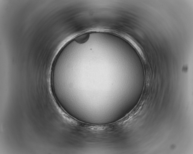 X0000099290861200805161323