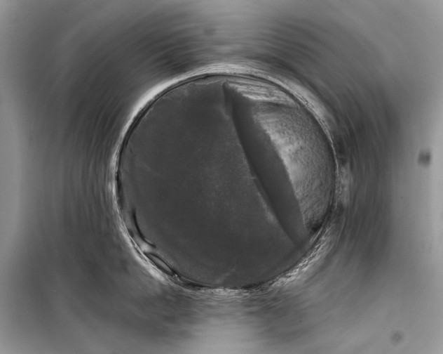 X0000099290862200805161323