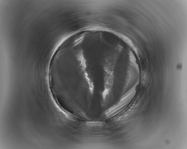 X0000099290863200805161323