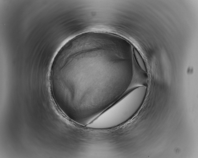 X0000099290864200805161323