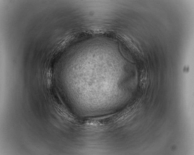 X0000099290866200805161323