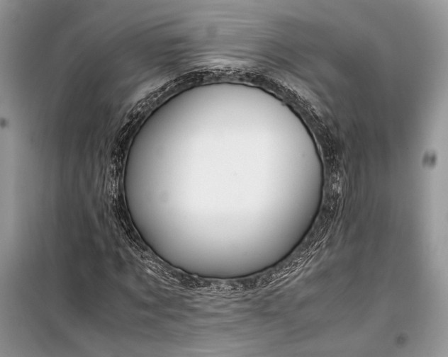 X0000099290869200805161323