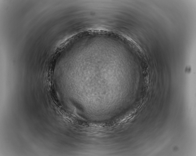 X0000099290870200805161323