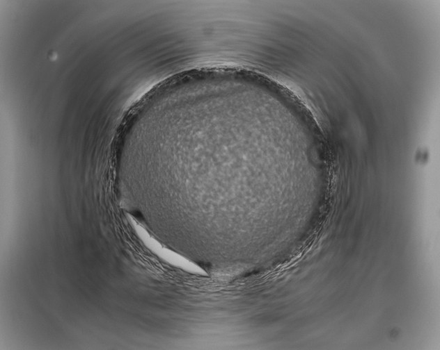 X0000099290871200805161323