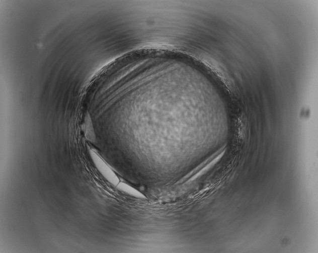 X0000099290872200805161323