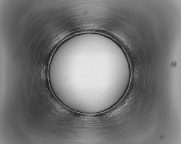 X0000099290873200805161323