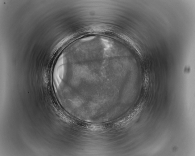 X0000099290874200805161322